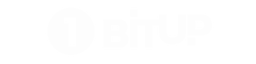 1BitUp